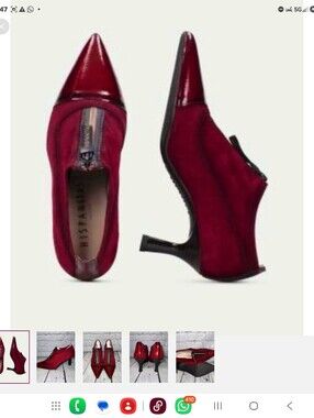 Pointed-Toe Zip Front Heels in Burgundy